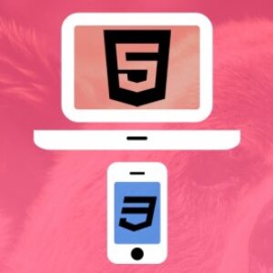 Web Designing for Beginners: Real World Coding in HTML & CSS