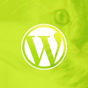 WordPress for Beginners: Create a Website Step by Step